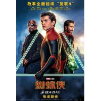 B836蜘蛛侠：英雄远征（带静音）/蜘蛛侠：决战千里 Spider-Man：Fa...