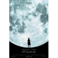 E677天空中的露西 （高清版）2019 评分5.6 Lucy in the S...