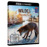 A11-22 4K-UHD 野性威尼斯 2014 WILD VENICE （20...