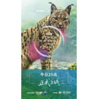 H646-648 BD50七个世界，一个星球 3碟装 全景声 2019 评分9....