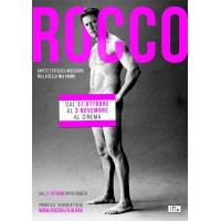 F718洛可：影帝的隐退 Rocco (2016)