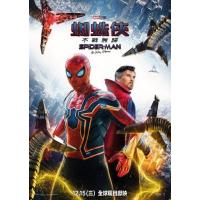 U855蜘蛛侠：英雄无归/新蜘蛛侠3 正式版 Spider-Man: No Wa...