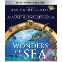 A16-25 4K-UHD 奇妙的海洋 Wonders of the Sea (...