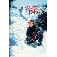 W795雪地黄金犬/白芳 White Fang (1991)带国配 高清版 豆瓣...