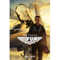 B1465壮志凌云2：独行侠 正式版 Top Gun: Maverick (2022)顶级大片 全景声 豆瓣8.2
