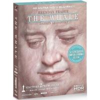 A19-01 4K-UHD 鲸/庞然大物 The Whale (2022)豆瓣8...