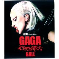 S1245 Lady Gaga：神彩巡回演唱会 2024