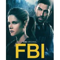 Y1291-1292联邦调查局 第四季 2碟 FBI Season 4(2021...
